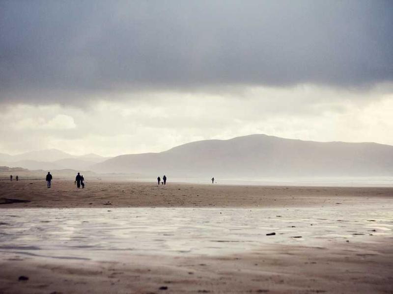 专业移民顾问团队